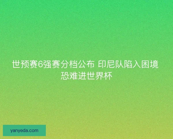 世预赛6强赛分档公布 印尼队陷入困境 恐难进世界杯