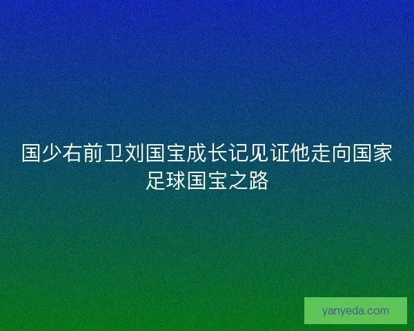 国少右前卫刘国宝成长记见证他走向国家足球国宝之路