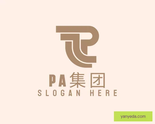 了解PA集团